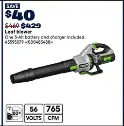 RONA Leaf blower offer