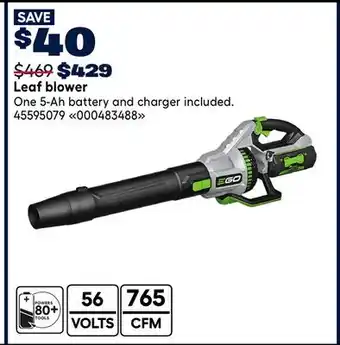 RONA Leaf blower offer