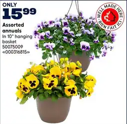 RONA Assorted annuals offer
