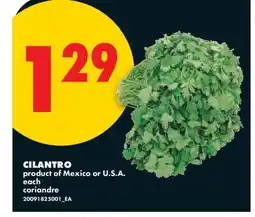 No Frills CILANTRO offer