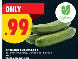 No Frills ENGLISH CUCUMBERS offer