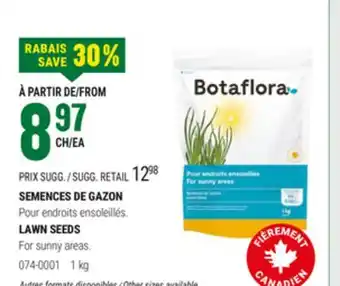 BMR SEMENCES DE GAZON offer