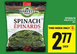 Food Basics SPINACH offer