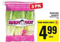 Food Basics ANDY BOY ROMAINE HEARTS offer