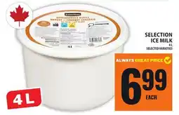 Food Basics SELECTION ICE MILK offer