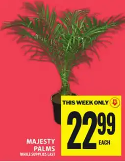 Food Basics MAJESTY PALMS offer