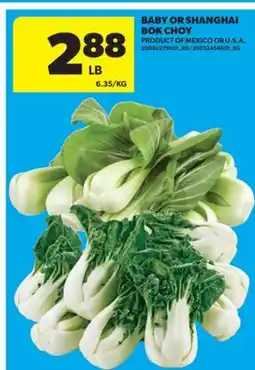 Real Canadian Superstore BABY OR SHANGHAI BOK CHOY offer