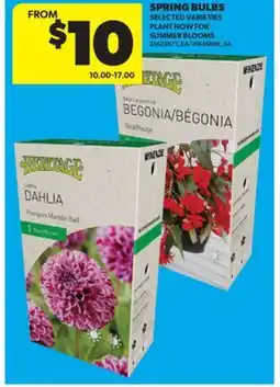 Real Canadian Superstore SPRING BULBS offer