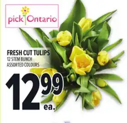 Metro FRESH CUT TULIPS offer
