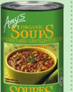 Metro AMY'S SOUP offer