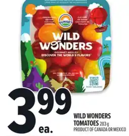 Metro WILD WONDERS TOMATOES offer
