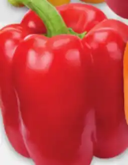 Metro MINI CUCUMBERS OR LARGE RED, ORANGE OR YELLOW SWEET PEPPERS offer