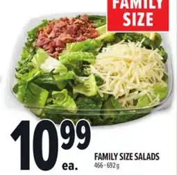 Metro FAMILY SIZE FAMILY SIZE SALADS offer