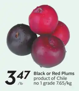 Sobeys Black or Red Plums offer
