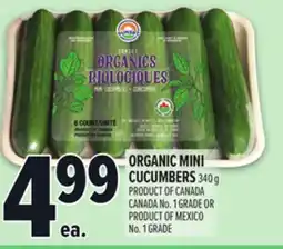 Metro ORGANIC MINI CUCUMBERS offer