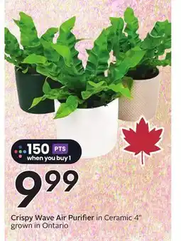 Sobeys Crispy Wave Air Purifier offer