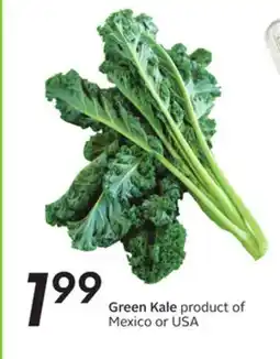 Sobeys Green Kale offer