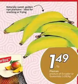 Sobeys Plantain - Global Market offer