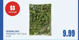 Wholesale Club SPRING MIX, 3 LB offer