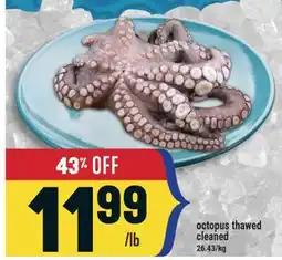 Marché Adonis Octopus thawed cleaned offer