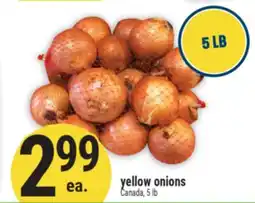 Marché Adonis Yellow onions offer