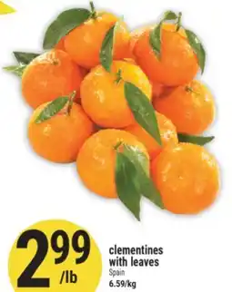 Marché Adonis Clementines with leaves offer