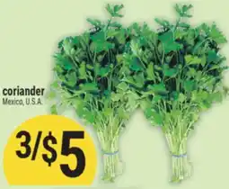 Marché Adonis Coriander offer
