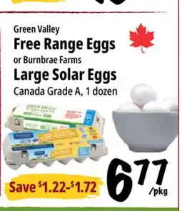 Farm Boy Green Valley Free Range Eggs or Burnbrae Farms Large Solar Eggs offer