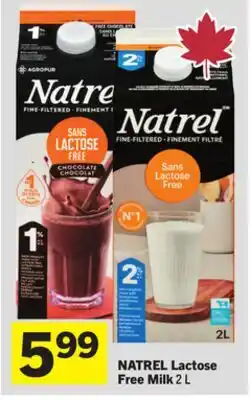 Foodland NATREL Lactose Free Milk offer