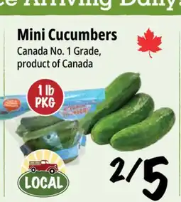 Farm Boy Mini Cucumbers offer
