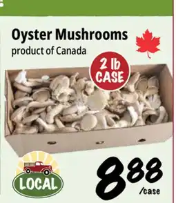 Farm Boy Oyster Mushrooms offer
