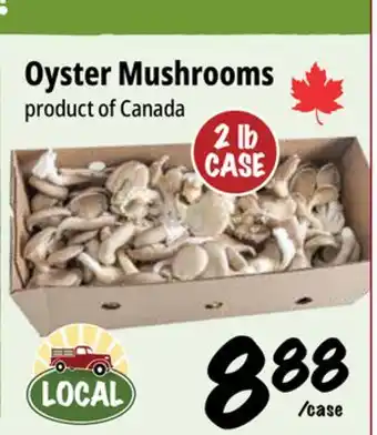 Farm Boy Oyster Mushrooms offer