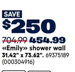 RONA Emily shower wall offer