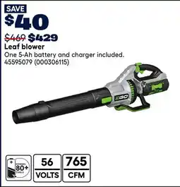 RONA EGO Leaf blower offer