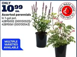 RONA Assorted perennials offer