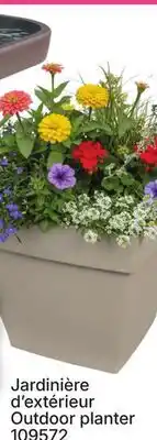 Rossy Outdoor planter offer