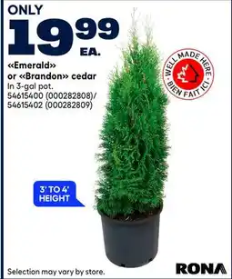 RONA Emerald or Brandon cedar offer