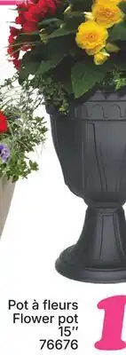 Rossy Flower pot offer