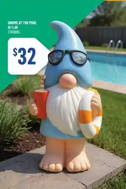 Canac Gnome at the Pool 16 3/4in offer