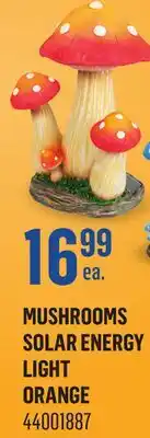Canac Mushrooms Solar Energy Light offer