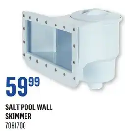Canac Salt Pool Wall Skimmer offer