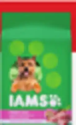 Walmart IAMS dry dog food offer