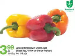 Highland Farms Ontario Homegrown Greenhouse Sweet Red, Yellow or Orange Peppers offer