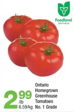 Highland Farms Ontario Homegrown Greenhouse Tomatoes offer