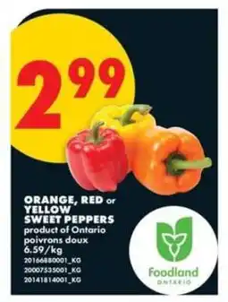 No Frills ORANGE, RED or YELLOW SWEET PEPPERS offer