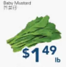Oceans Fresh Food Market Baby Mustard offer