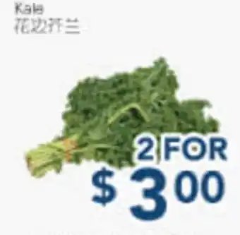 Oceans Fresh Food Market Kale offer