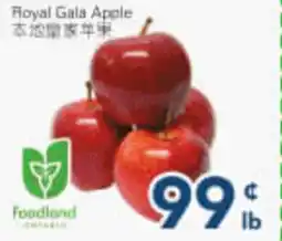 Oceans Fresh Food Market Royal Gala Apple offer