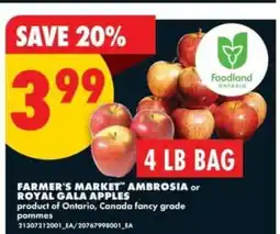 No Frills Farmer's Market Ambrosia or Royal Gala Apples offer