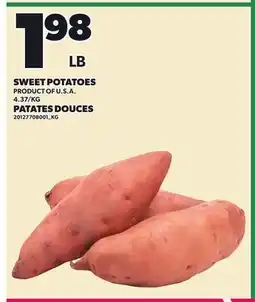Independent City Market SWEET POTATOES offer